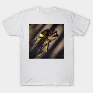 Last Leaf T-Shirt